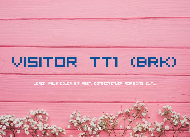 Visitor TT1 (BRK) example