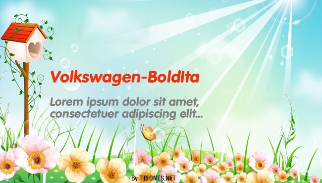 Volkswagen-BoldIta example