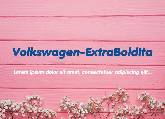 Volkswagen-ExtraBoldIta example