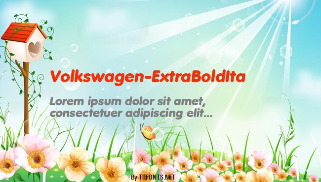 Volkswagen-ExtraBoldIta example