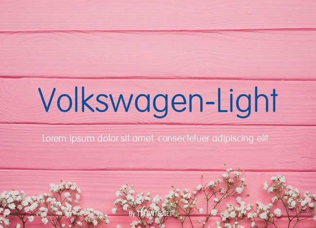 Volkswagen-Light example