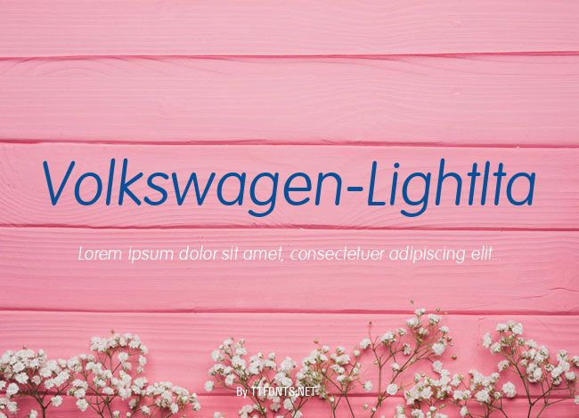 Volkswagen-LightIta example