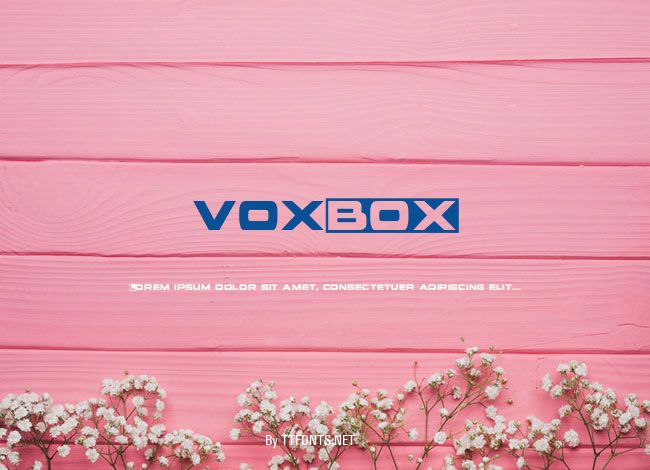 voxBOX example