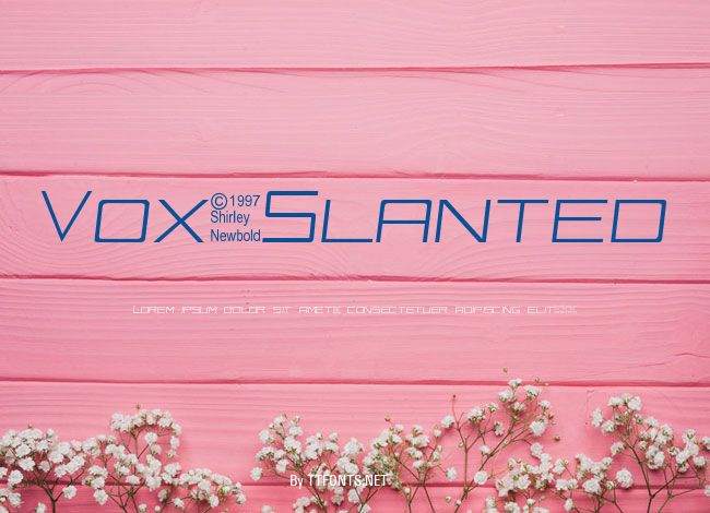 Vox-Slanted example