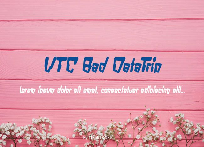 VTC Bad DataTrip example