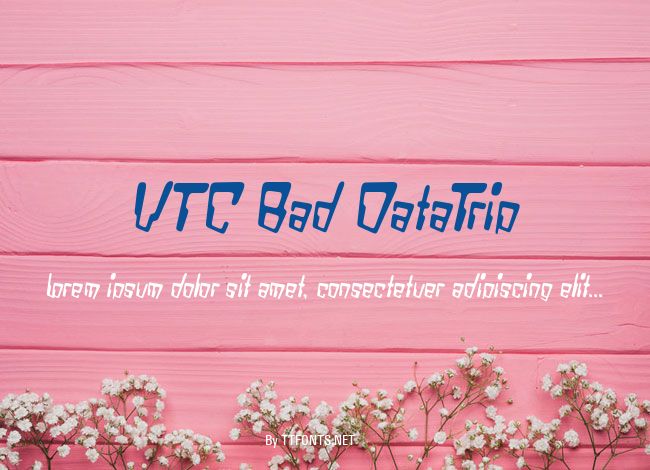 VTC Bad DataTrip example