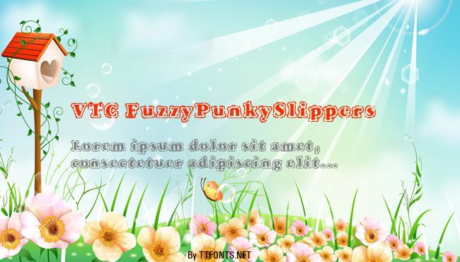 VTC FuzzyPunkySlippers example