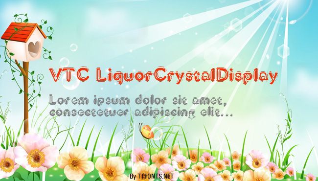 VTC LiquorCrystalDisplay example