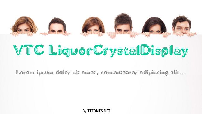 VTC LiquorCrystalDisplay example