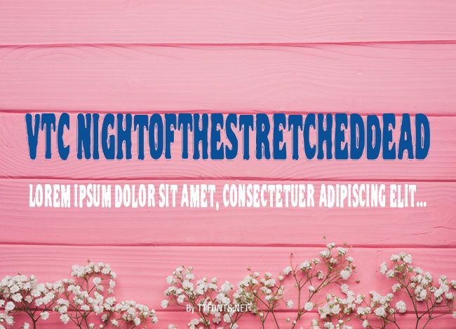 VTC NightOfTheStretchedDead example