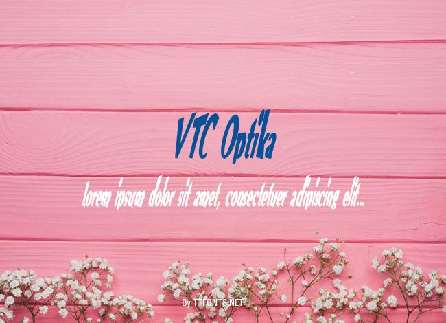 VTC Optika example