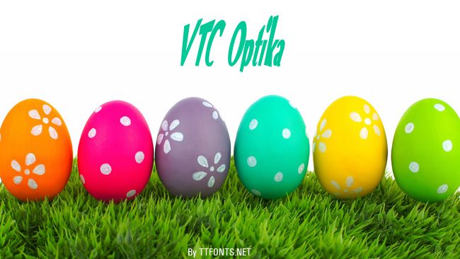 VTC Optika example