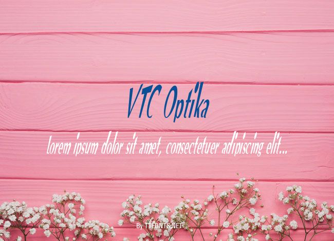 VTC Optika example