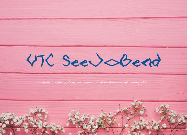 VTC SeeJoBend example