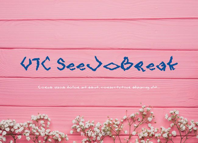 VTC SeeJoBreak example