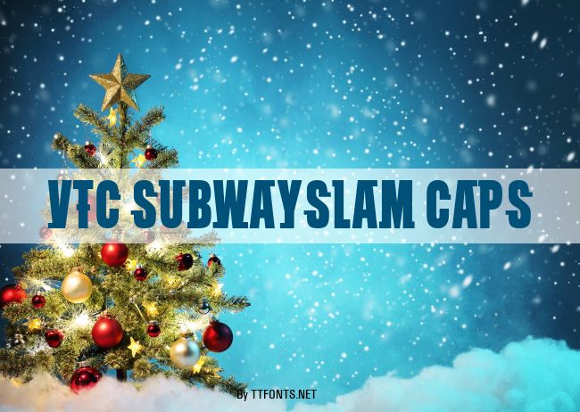 VTC SubwaySlam Caps example