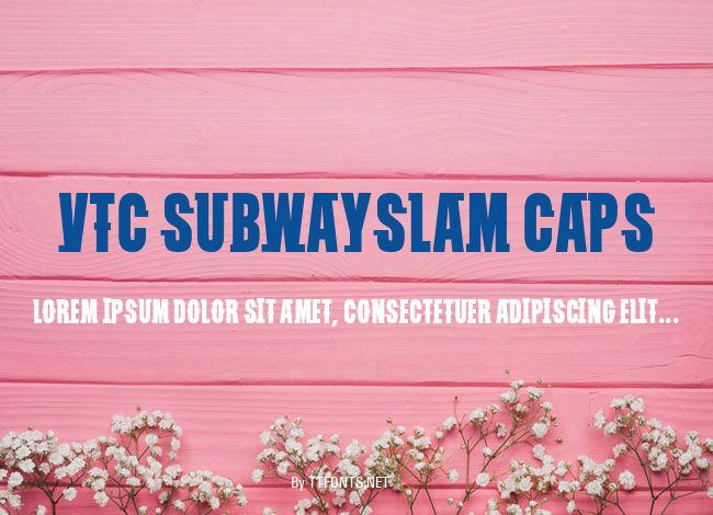 VTC SubwaySlam Caps example