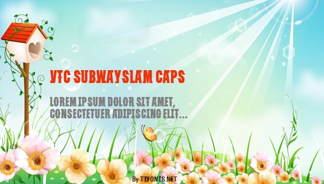 VTC SubwaySlam Caps example