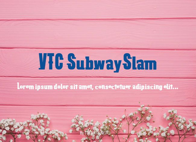 VTC SubwaySlam example