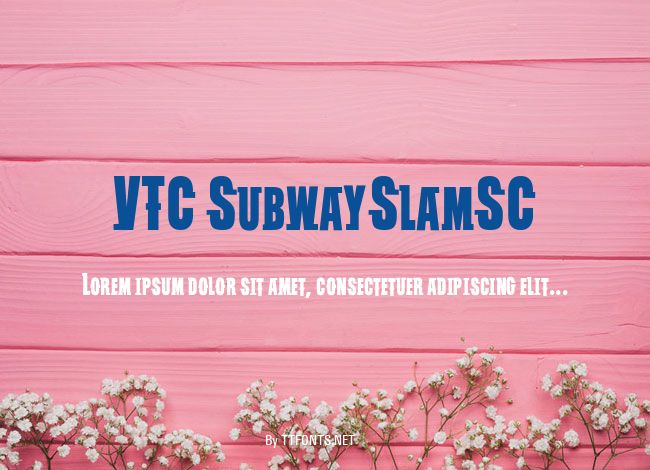 VTC SubwaySlamSC example