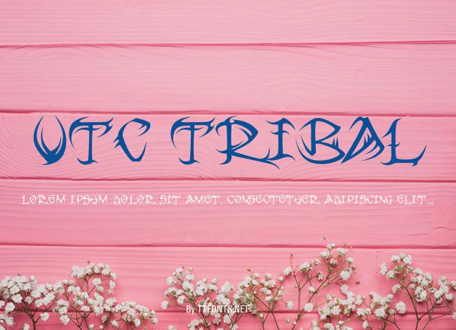 VTC Tribal example