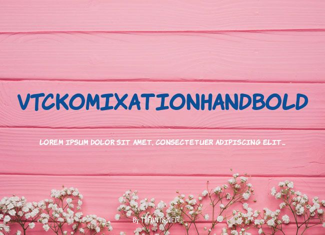 VTCKomixationHandBold example