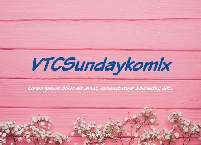 VTCSundaykomix example