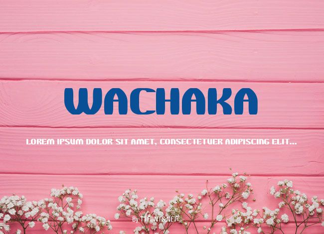 WaChaKa example