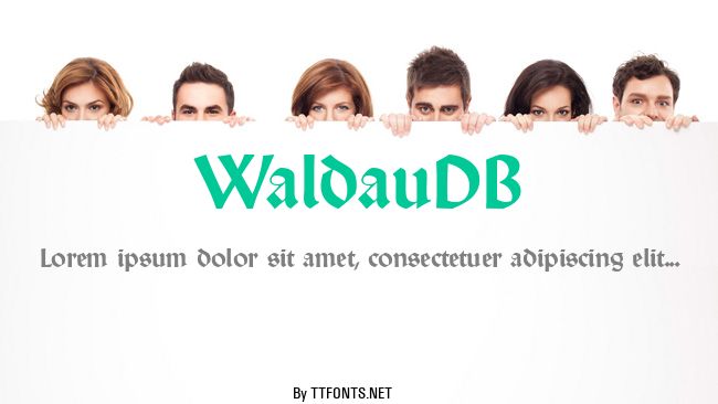 WaldauDB example