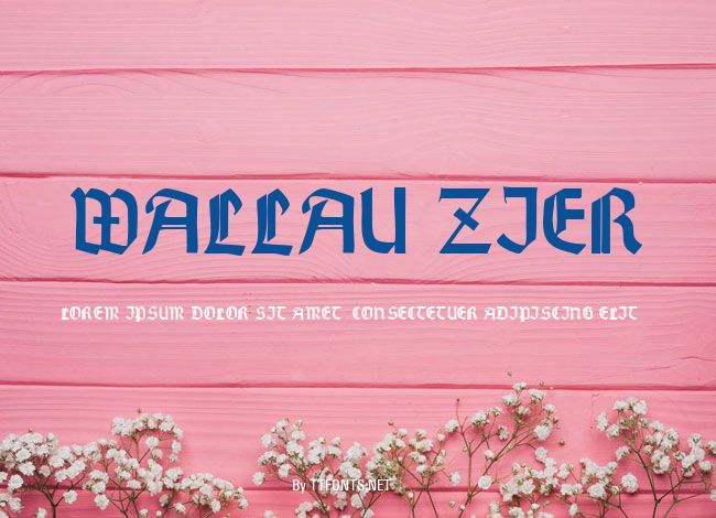 Wallau Zier example