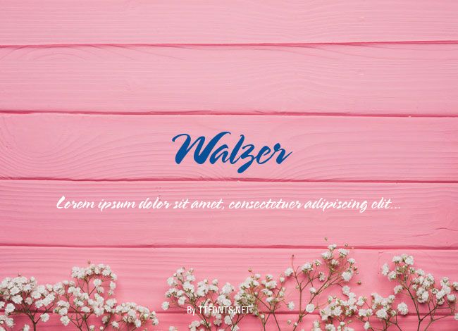 Walzer example