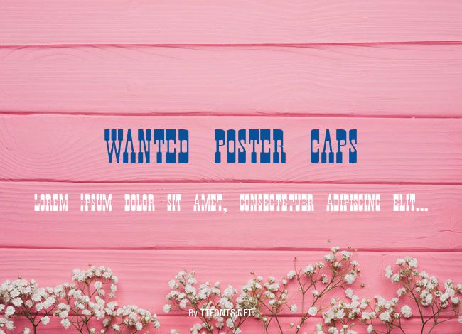 Wanted Poster Caps example