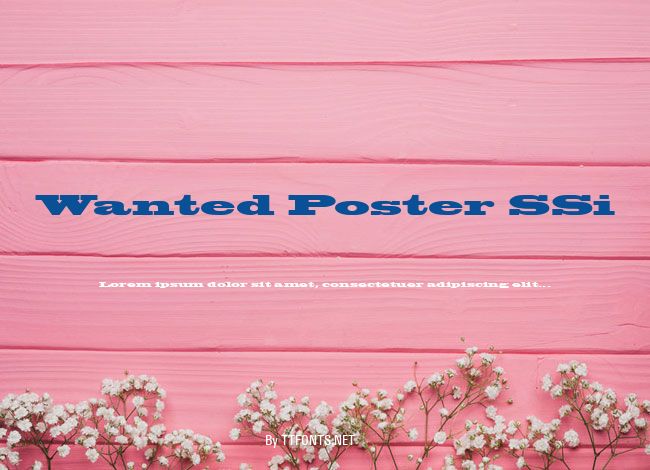Wanted Poster SSi example