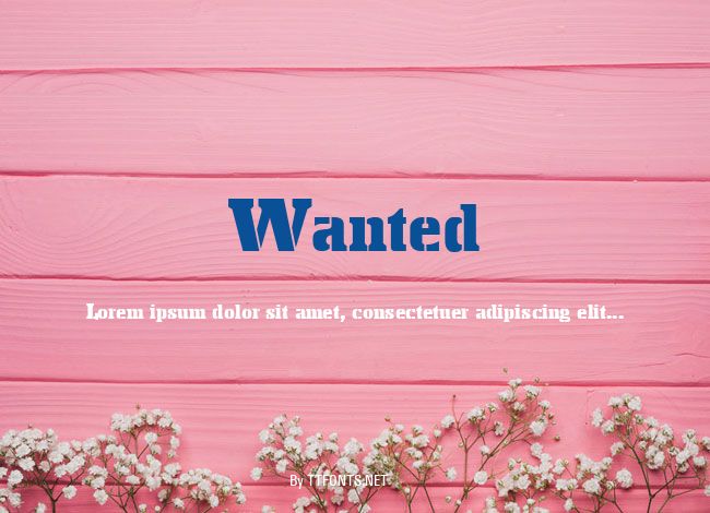 Wanted example