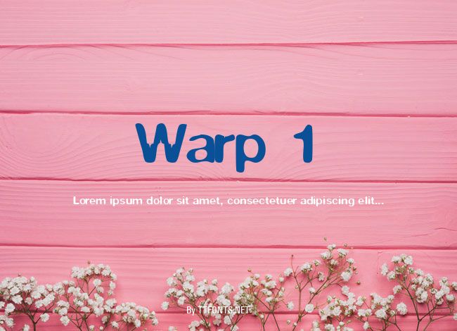Warp 1 example