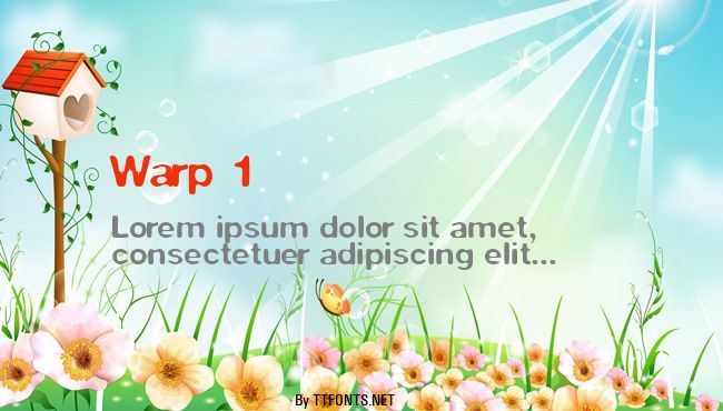 Warp 1 example