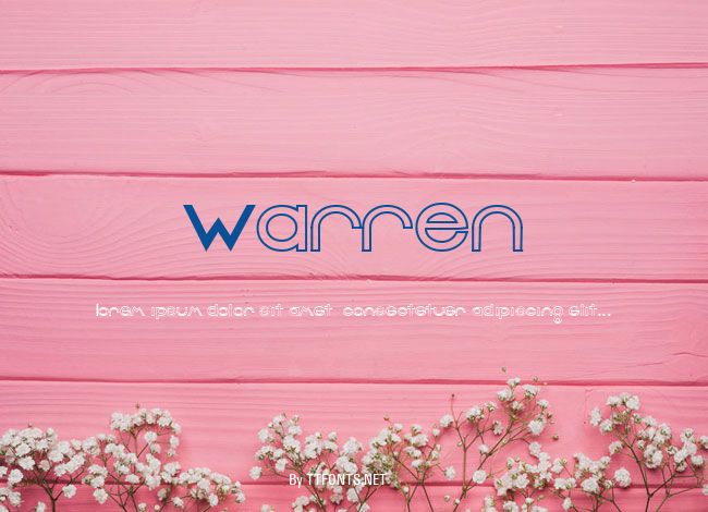 Warren example