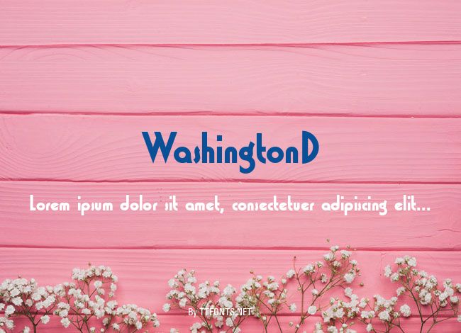WashingtonD example