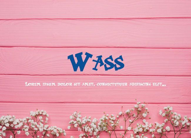 Wass example