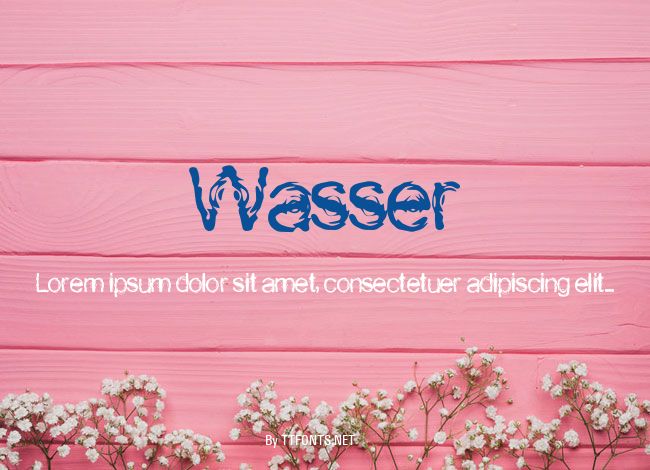 Wasser example