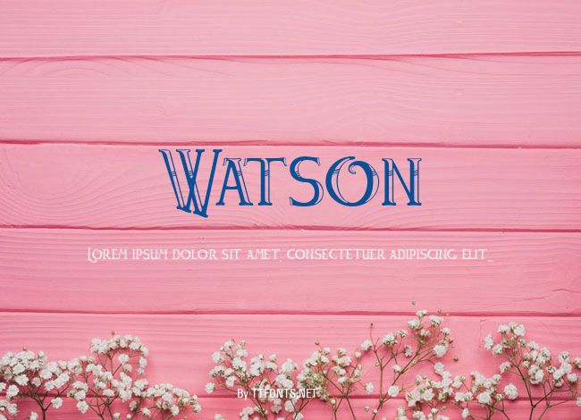 Watson example