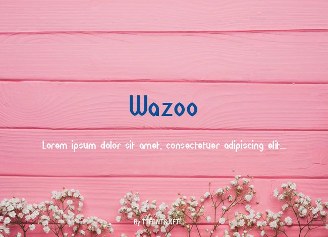 Wazoo example