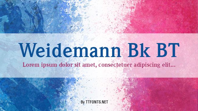 Weidemann Bk BT example