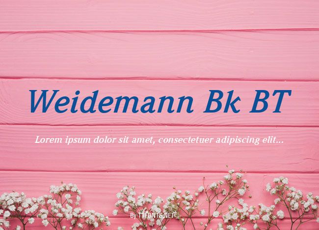 Weidemann Bk BT example