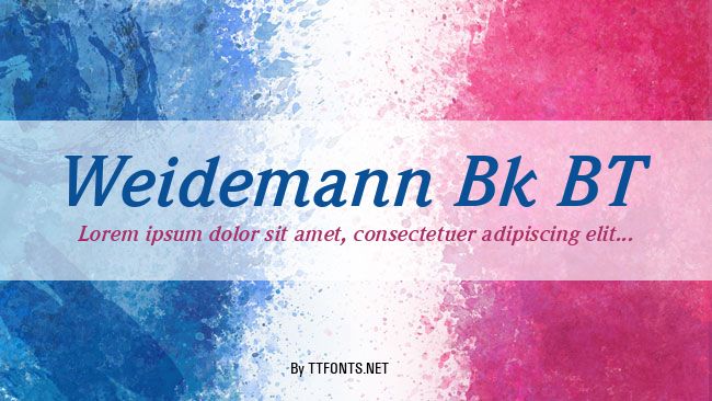 Weidemann Bk BT example