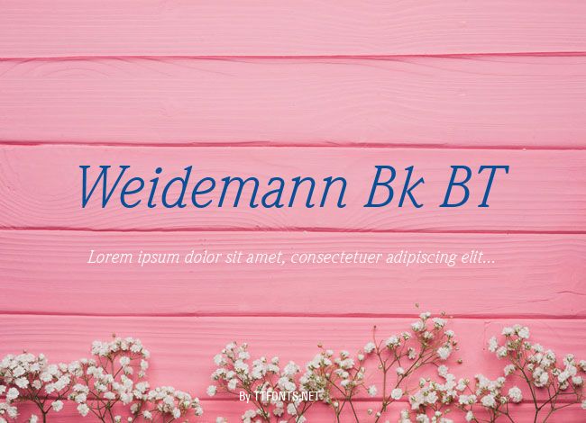 Weidemann Bk BT example