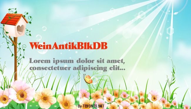 WeinAntikBlkDB example