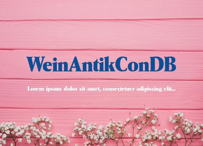 WeinAntikConDB example