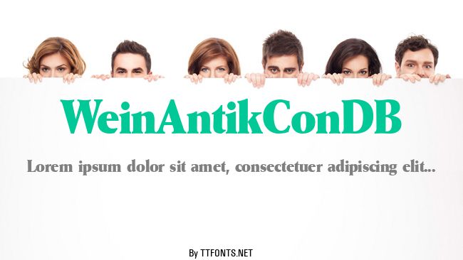 WeinAntikConDB example