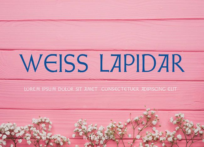 Weiss Lapidar example